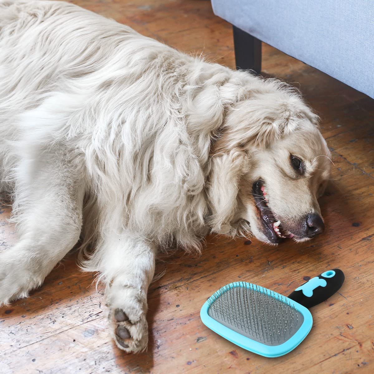 Best Brush for Golden Retriever Expert Reviews 2022