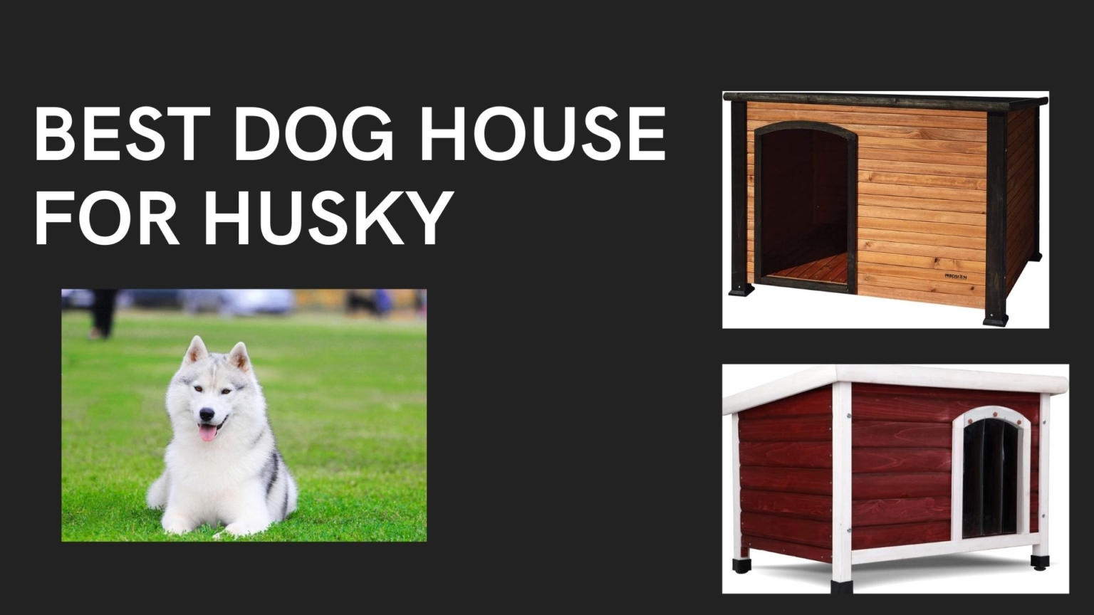 Best Dog House for Husky 2022 [Reviews and Buying Guide]